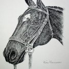 Horse Portrait Facing Left Vintage Lithograph Print Ken Nessen a Western Artist
