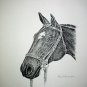 Horse Portrait Facing Left Vintage Lithograph Print Ken Nessen a Western Artist