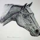 Horse Portrayl Facing Right Vintage Lithograph Print Ken Nessen a Western Artist