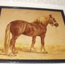 Percheron Horse Artist Marie Guise Original 1889 Antique Chromolithograph Black Wood Frame