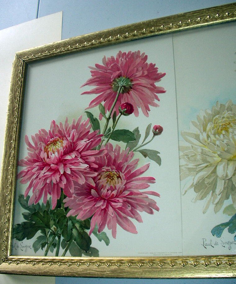 Paul de Longpre 1896 Yard Long Original Antique Chromolithograph Print