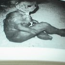 Monster Of Loch Ness (Paperback) Black & White Photos (Original)