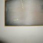 Fine Art Paintings