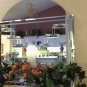 Water Fountain Display