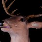 SOLD*** BUCK the Singing Deer " SOLD "
