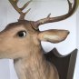 SOLD*** BUCK the Singing Deer " SOLD "