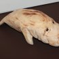 Handcrafted Wooden Manatee