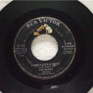 THE BROWNS Lonely Little Robin Margo The Ninth Of May 1960 RCA/Victor 47-7755