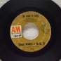 Sergio Mendes & Brasil 66 The Look Of Love Like A Lover 1968 AM Records 924
