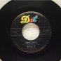 Chantay's Pipeline Move It 1963 Dot Records 45-16640