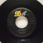 Chantay's Pipeline Move It 1963 Dot Records 45-16640