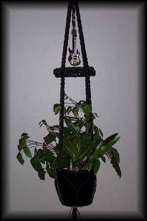 Guitar & Onyx Plant Hanger