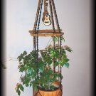 Acoustic Guitar and Wood Plant Hanger