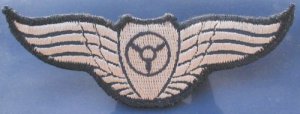 Israeli army IDF Airforce flight engineer cloth wings