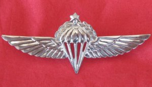 Israel Israeli army IDF senior paratrooper wings badge