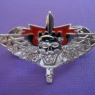 Israel Israeli army combat engineer fighter badge bomb