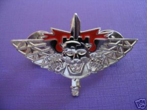 Israel Israeli army combat engineer fighter badge bomb