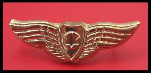 IAF miniature pilot wings IDF Israel army pin star of David