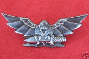 Israel army IDF Nachshon company unit badge