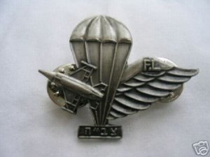 Israel Israeli army IDF air force rigger badge