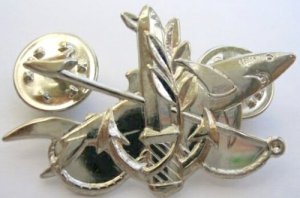Israel Israeli army IDF Torpedo expert badge Navy pin