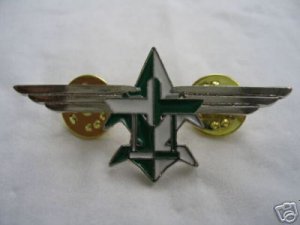 Israel Israeli army IDF UAV aerial vehicle unit badge