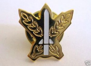 IDF security prize pin awarded by the prime minister