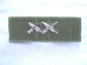 Israel Israeli army IDF GENERAL CITATION ribbon medal