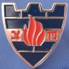 Israel Israeli army military police pin / badge IDF