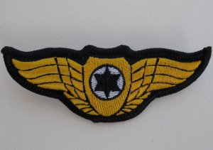 RARE: First IAF graduates golden pilot wings IDF Israel