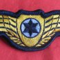 RARE: First IAF graduates golden pilot wings IDF Israel