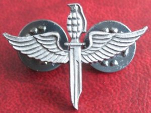 Israeli army special command teams sayeret Rimon badge