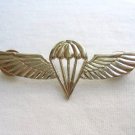 Israel Israeli army IDF paratrooper wings badge