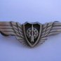 Israel Israeli army IDF Airforce navigator wings badge
