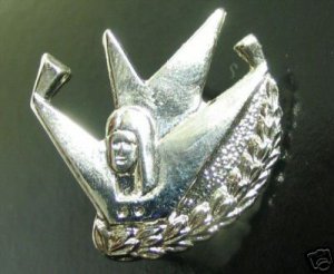 Israel Israeli army IDF free fall paratroper badge