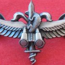 Lizard field intelligence Israeli army Israel IDF badge