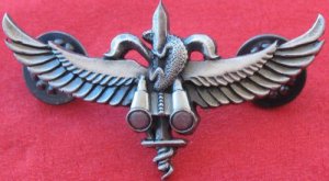 Lizard field intelligence Israeli army Israel IDF badge