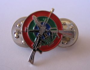 Israeli army IDF SNIPER expert pin M16 Galil rifle gun