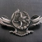 IDF Israel Israeli police financial unit badge