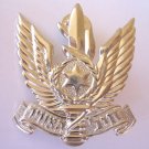 IDF Israeli Air force CAP BADGE beret hat pin Israel