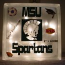 Michigan State Block Nightlight