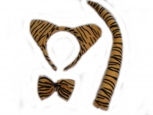 Tiger accessories 1