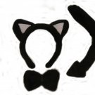 Black cat accessories