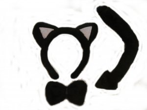 Black cat accessories