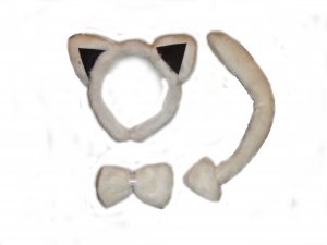 White cat accessories