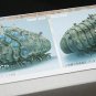Plastic Model Kit - Scale 1/20 - Made in JAPAN -- Nausicaa & Ohmu - Bandai - Ghibli