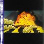 RARE 1 left - Movie Film #2 - 6 Frames - Made JAPAN Wild Boar Explosion Mononoke Ghibli (real film)