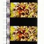 RARE 1 left - Movie Film #3 - 6 Frames - Made in JAPAN - Battle - Mononoke Ghibli (real film)