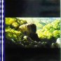 RARE 1 left - Movie Film #20 6 Frames Okkotonushi Wild Boar God on Cliff Mononoke Ghibli (real film)