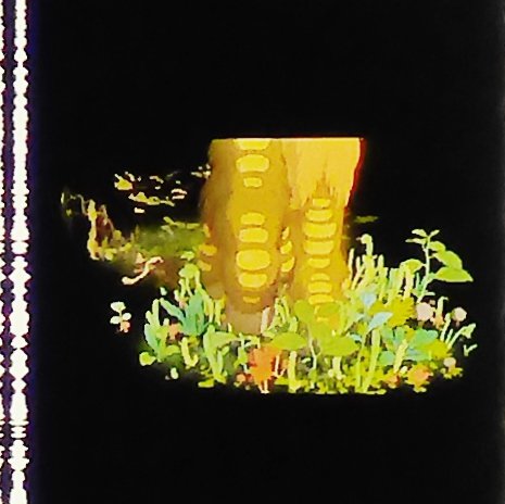 RARE 1 left - Movie Film #22 - 6 Frame Made JAPAN Shishigami Forest Spirit Mononoke Ghibli real film